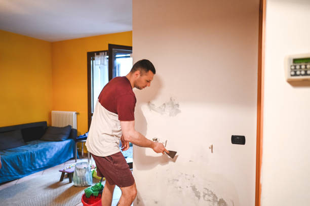 Professional Mold Removal in Huntington, WV